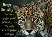 Jaguar Birthday Card