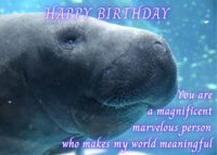 Manatee Birthday Card