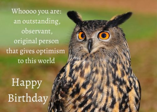 Owl Birthday Card