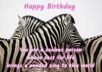Zebra Birthday Card