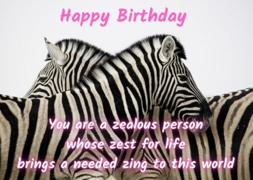 Zebra Birthday Card