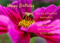 Bee Birthday Card