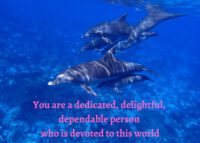 Dolphin Celebrating You Card