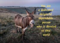 Donkey Celebrating You Card