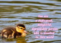Duck Celebrating You Card