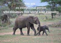 Elephant Celebrating You Card