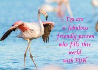 Flamingo Celebrating You Card