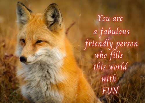Fox Celebrating You Card