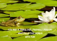 Frog Celebrating You Card