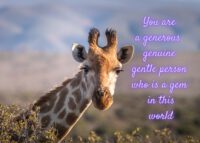 Giraffe Celebrating You Card
