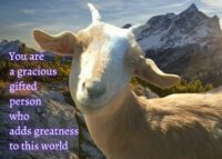 Goat Celebrating You Card