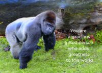 Gorilla Celebrating You Card