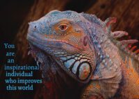 Iguana Celebrating You Card