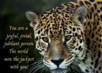 Jaguar Celebrating You Card
