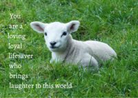 Lamb Celebrating You Card