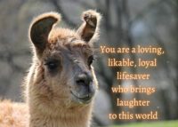 Llama Celebrating You Card