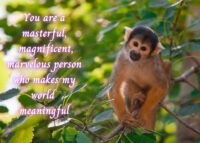Monkey Celebrating You Card