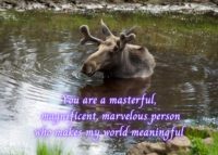 Moose Celebrating You Card