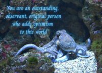 Octopus Celebrating You Card