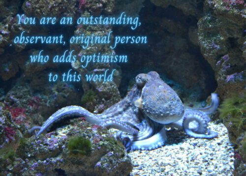 Octopus Celebrating You Card