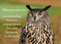 Owl Celebrating You Card