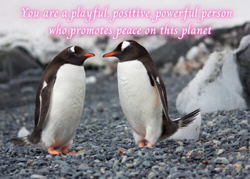 Penguin Celebrating You Card