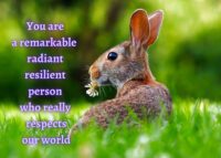 Rabbit Celebrating You Card