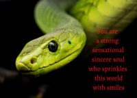 Snake Celebrating You Card