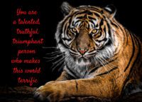 Tiger Celebrating You Card