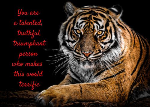 Tiger Celebrating You Card