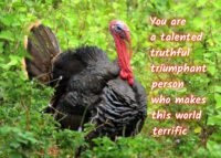 Turkey Celebrating You Card