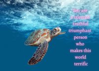Turtle Celebrating You Card