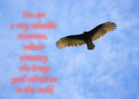 Vulture Celebrating You Card