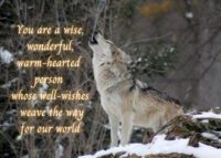 Wolf Celebrating You Card