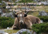 Yak Celebrating You Card