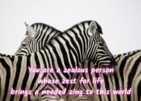 Zebra Celebrating You Card