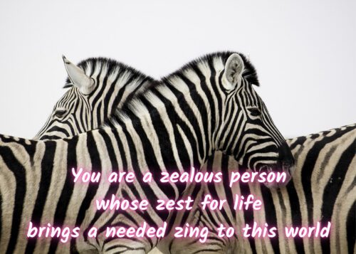Zebra Celebrating You Card