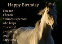 Horse Birthday Card