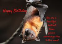 Bat Birthday Card