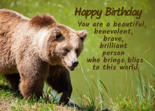 Bear Birthday Card