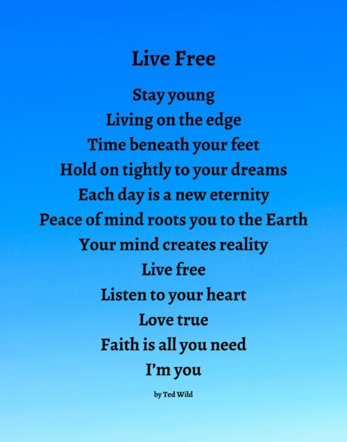 Live Free - Blue Gradient