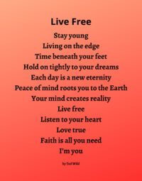 Live Free - Orange