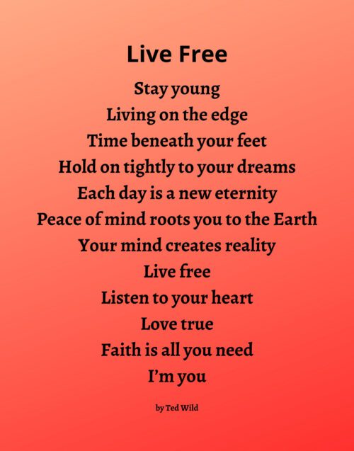 Live Free - Orange