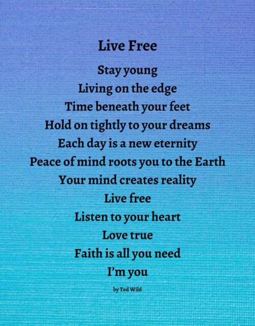 Live Free - Textured Blues