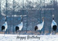 Crane Birthday Card