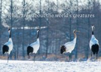 Crane Celebrating You Card