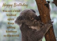 Koala Birthday Card