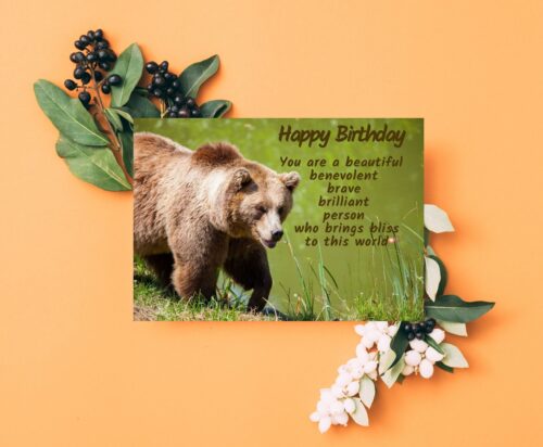 Bear Birthday Card - Image 5