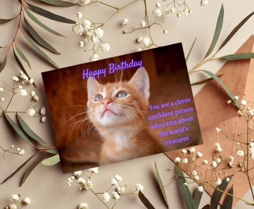 Cat Birthday Card - Image 5