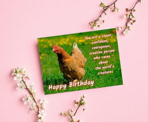 Chicken Birthday Card - Image 6